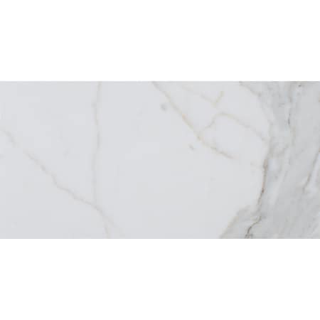 Msi Calacatta Gold SAMPLE Polished Marble Floor And Wall Tile ZOR-NS-0050-SAM